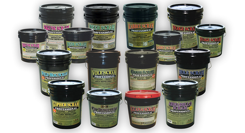 Get Rid Of Animal Pests Epic Professional Animal Repellents